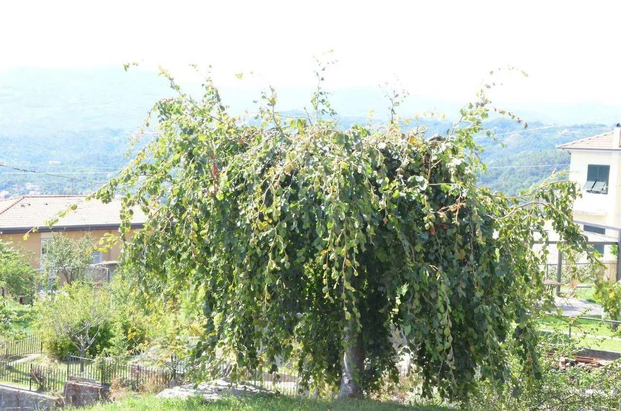 Appartamento La casa con vista di Emma Vezzano Ligure 0*,  Italia